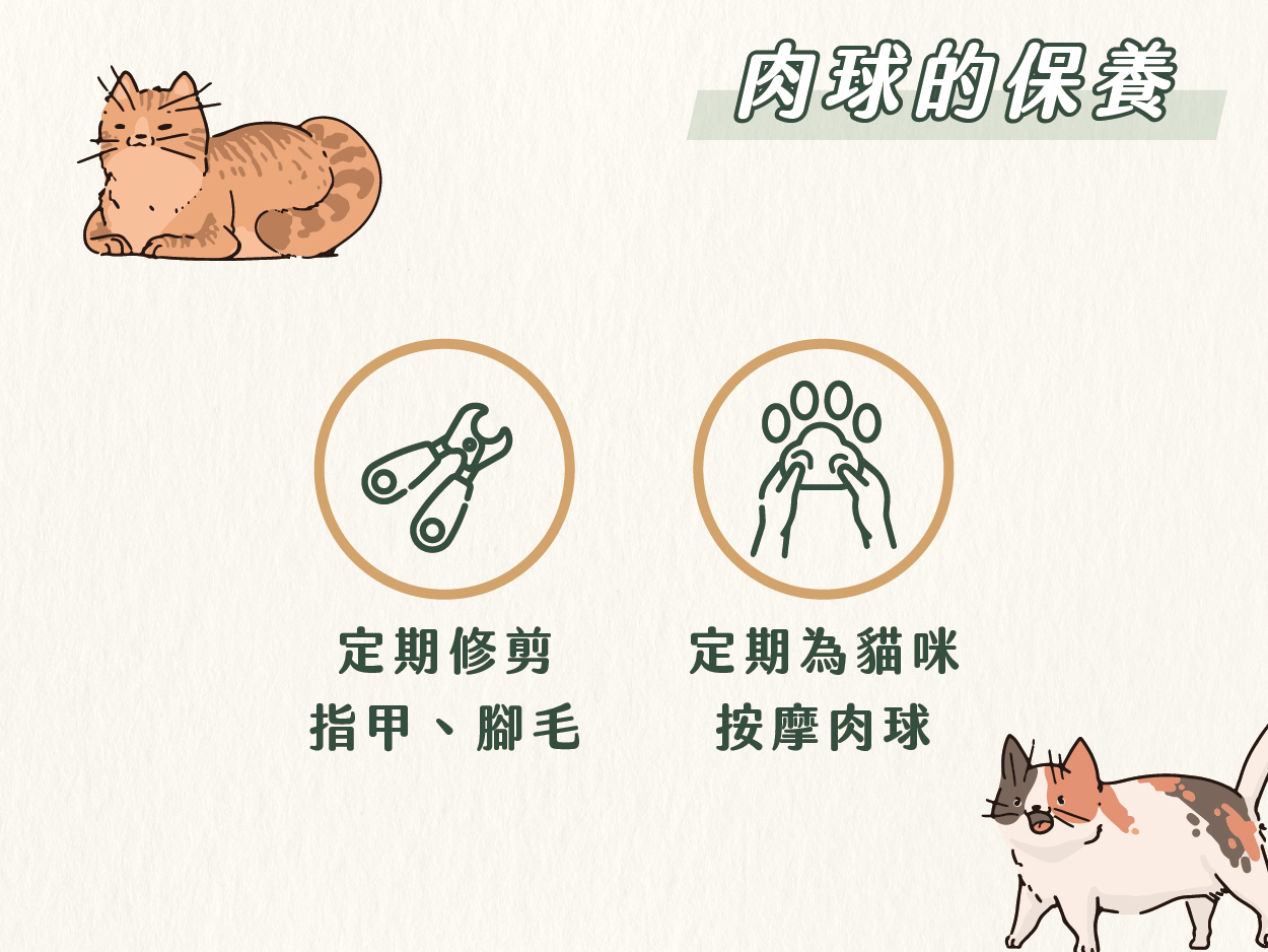 《貓咪肉球的療癒小秘密》 4 220923 貓咪肉球的小秘密 03