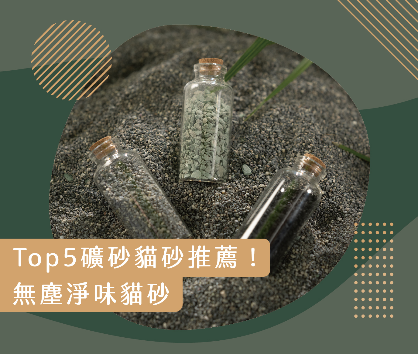 2023礦砂推薦貓砂推薦