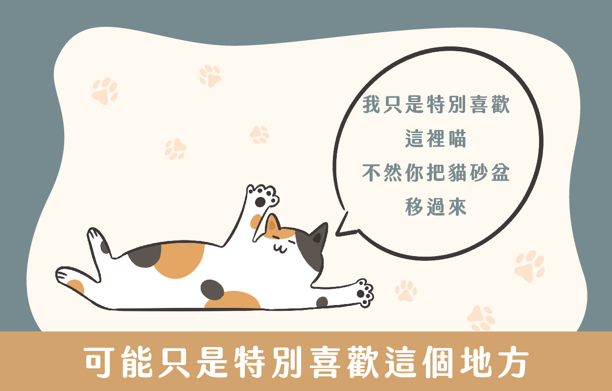 貓咪亂尿尿7大原因!貓行為諮商師幫你解答|草恩貓砂 5 貓咪亂尿尿嗎?你的貓咪可能只是真的特別喜歡這個地方