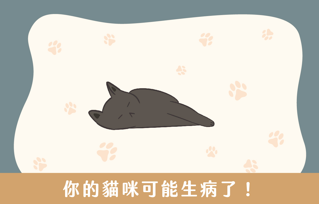 貓咪亂尿尿7大原因!貓行為諮商師幫你解答|草恩貓砂 6 貓咪亂尿尿找不到原因?你的貓咪可能生病了,帶你的貓咪看獸醫吧!