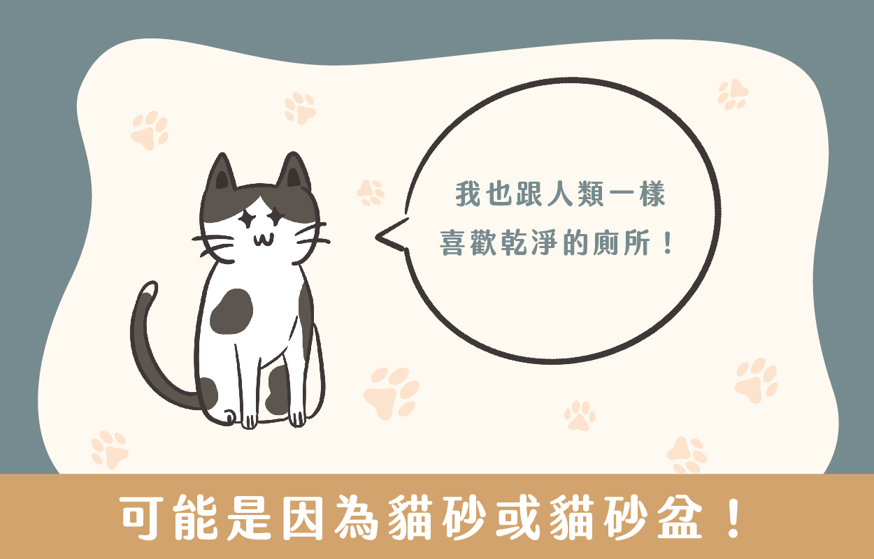 貓咪亂尿尿7大原因!貓行為諮商師幫你解答|草恩貓砂 7 貓咪亂尿尿可能是因為貓砂或貓砂盆喔!