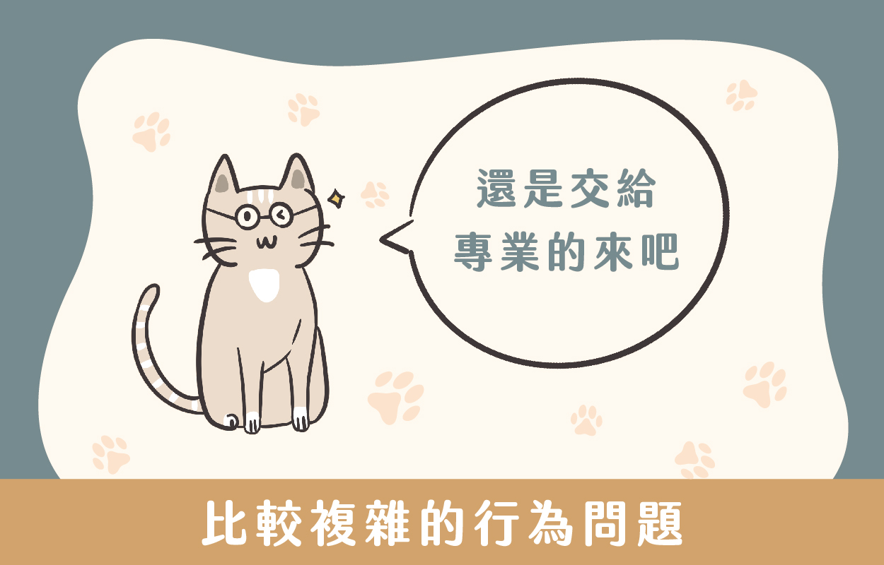 貓咪亂尿尿7大原因!貓行為諮商師幫你解答|草恩貓砂 10 導致貓咪亂尿尿、可能是比較複雜的行為問題