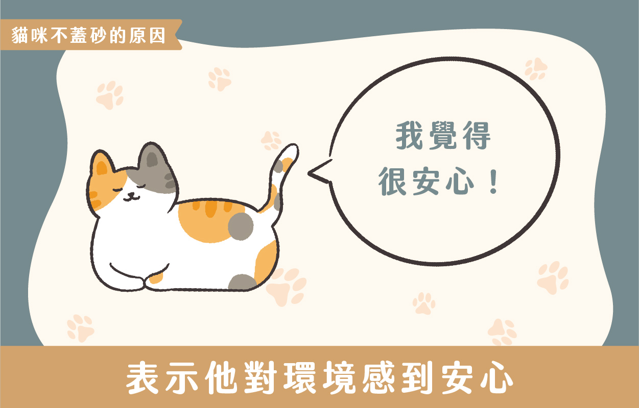 探討貓咪不蓋砂的6種原因及相對應的6個解決方法 3 230427 貓咪不蓋砂原因與解決方法 v1 03