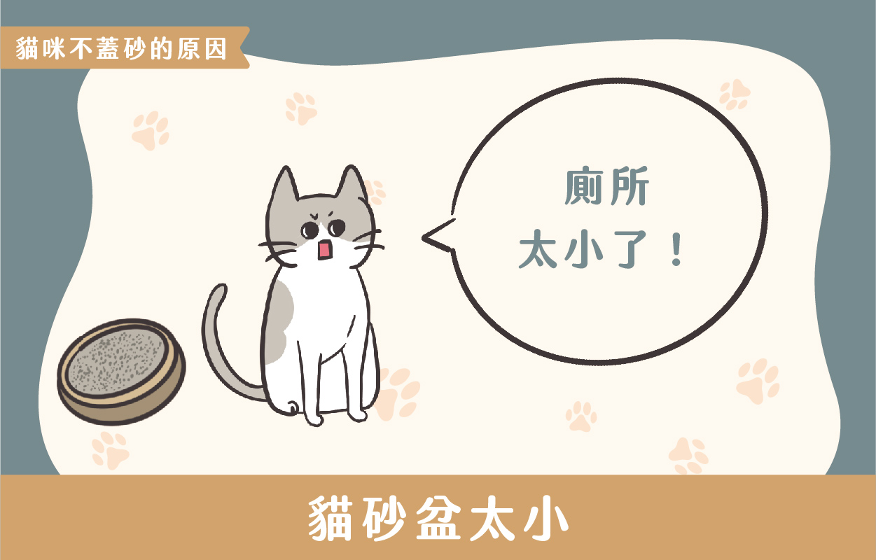 探討貓咪不蓋砂的6種原因及相對應的6個解決方法 4 230427 貓咪不蓋砂原因與解決方法 v1 04