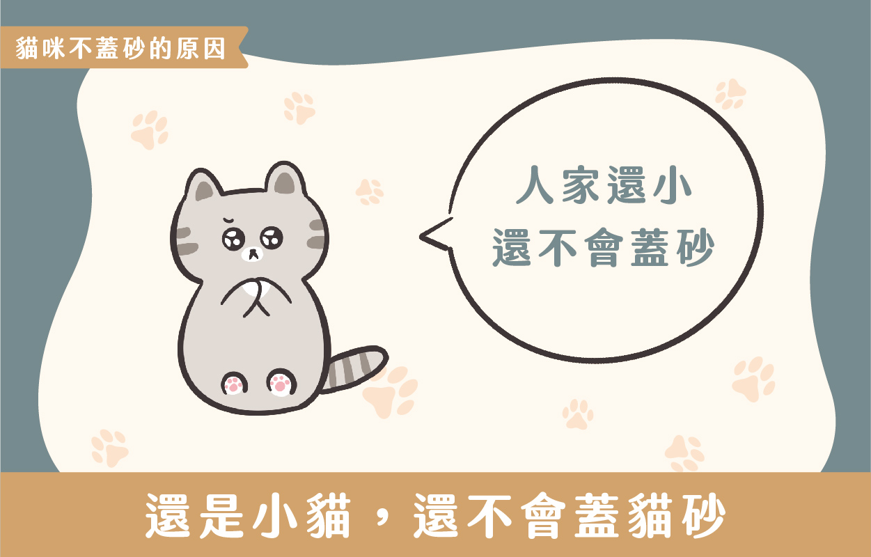 探討貓咪不蓋砂的6種原因及相對應的6個解決方法 5 230427 貓咪不蓋砂原因與解決方法 v1 05
