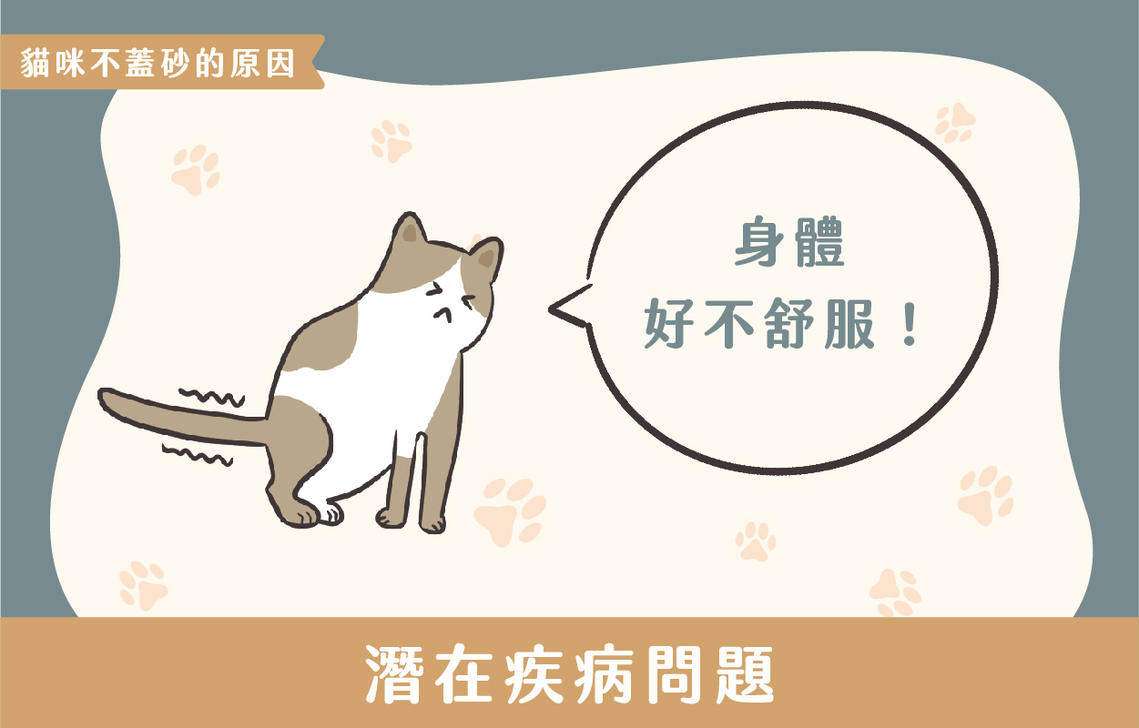 探討貓咪不蓋砂的6種原因及相對應的6個解決方法 6 230427 貓咪不蓋砂原因與解決方法 v1 06
