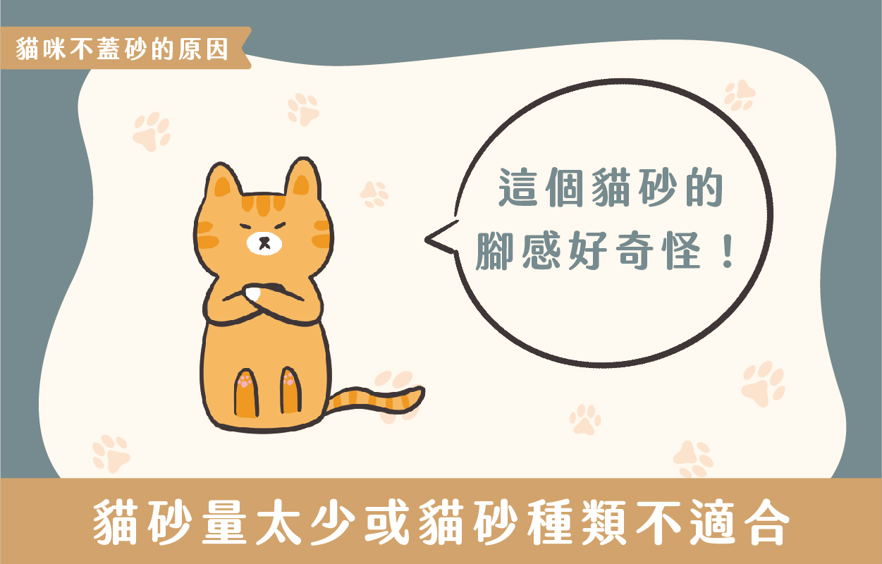 探討貓咪不蓋砂的6種原因及相對應的6個解決方法 7 230427 貓咪不蓋砂原因與解決方法 v1 07