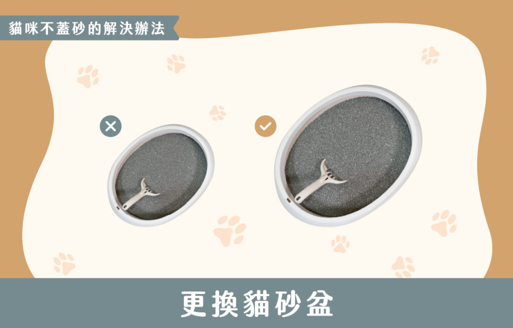 探討貓咪不蓋砂的6種原因及相對應的6個解決方法 8 230427 貓咪不蓋砂原因與解決方法 v1 08