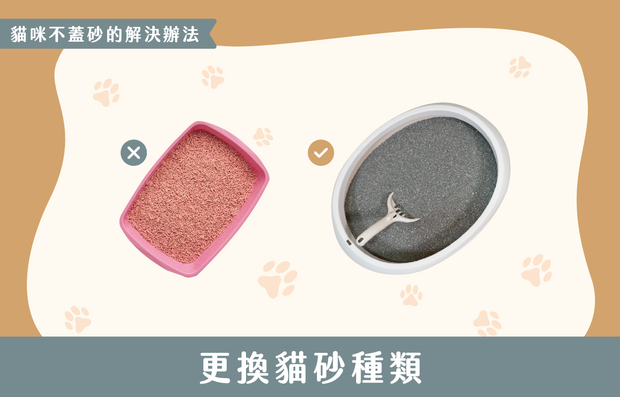 探討貓咪不蓋砂的6種原因及相對應的6個解決方法 9 230427 貓咪不蓋砂原因與解決方法 v1 09