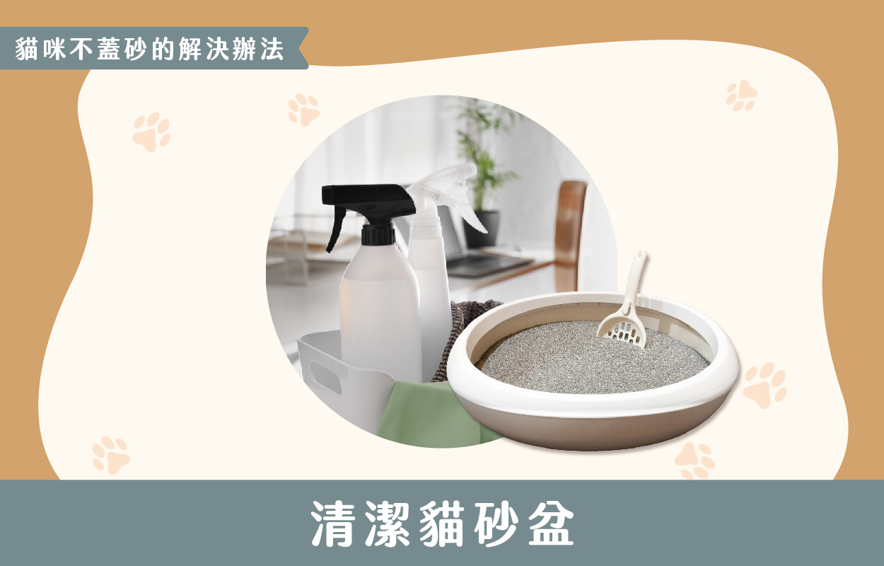 探討貓咪不蓋砂的6種原因及相對應的6個解決方法 10 230427 貓咪不蓋砂原因與解決方法 v1 10