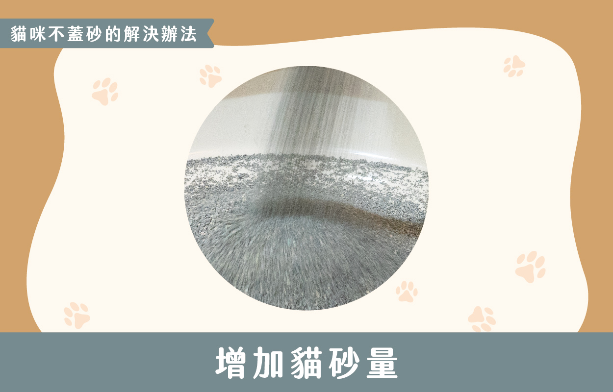 探討貓咪不蓋砂的6種原因及相對應的6個解決方法 11 230427 貓咪不蓋砂原因與解決方法 v1 11