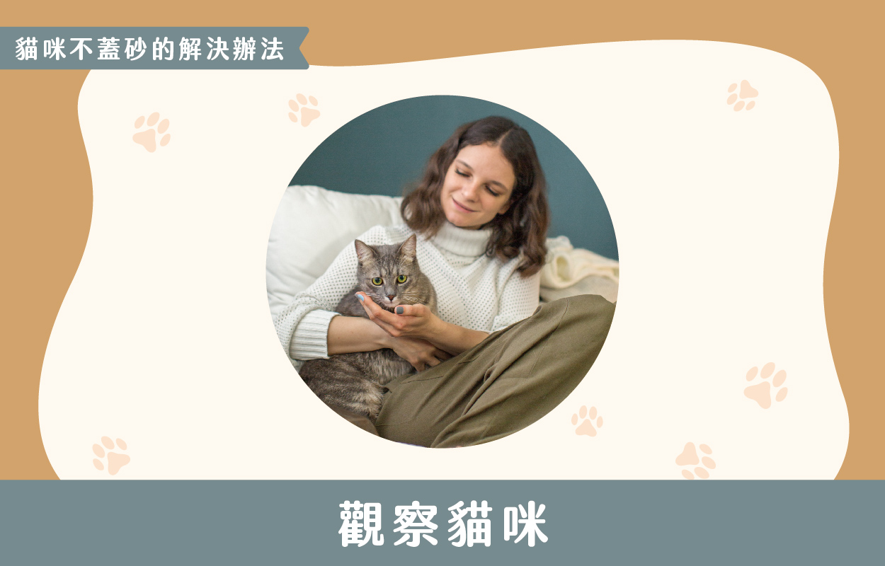 探討貓咪不蓋砂的6種原因及相對應的6個解決方法 13 230427 貓咪不蓋砂原因與解決方法 v1 13