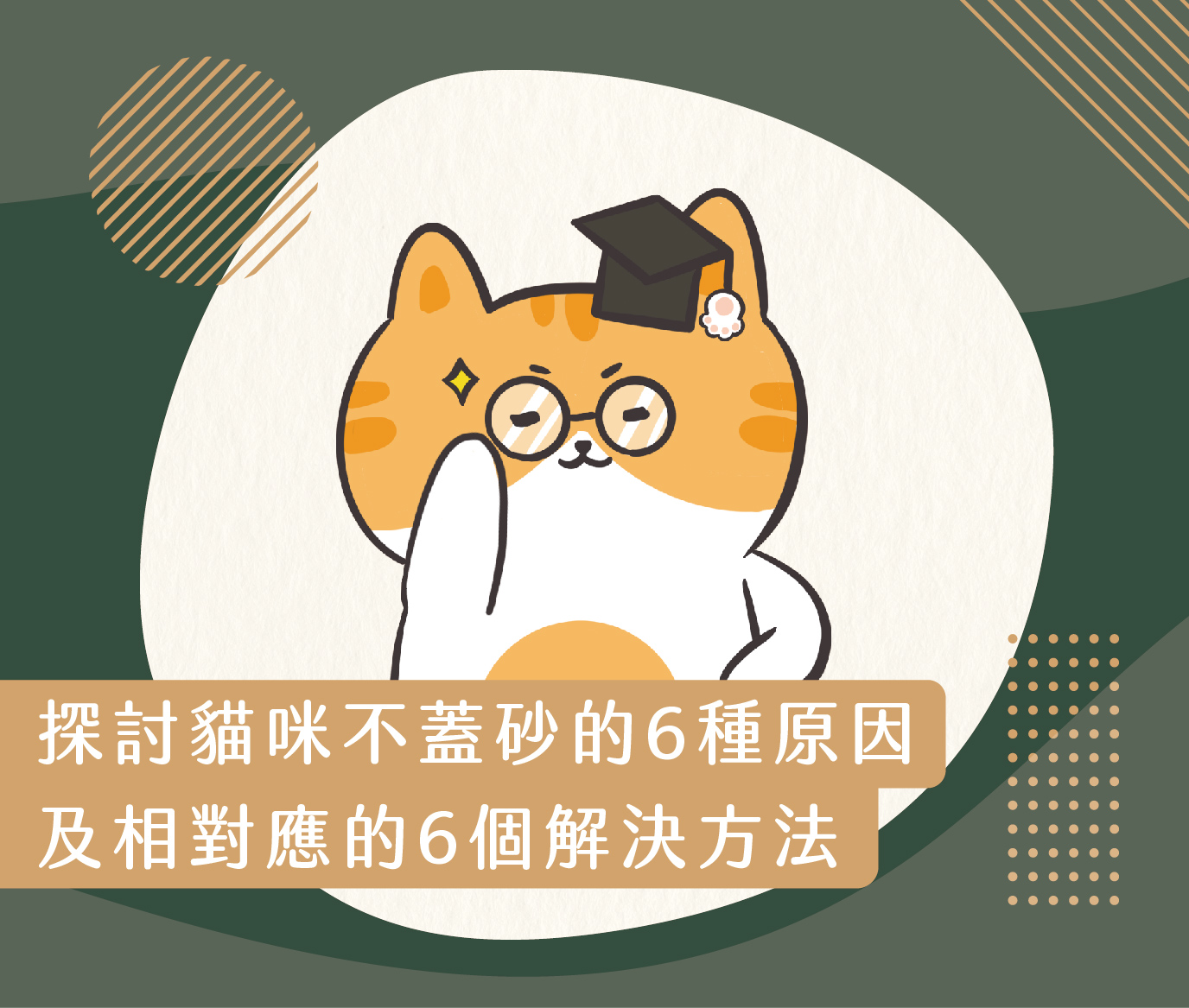 探討貓咪不蓋砂的6種原因及相對應的6個解決方法 1 230427 貓咪不蓋砂原因與解決方法 v1 工作區域 1