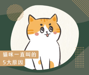 貓咪圖書館 6 230627 貓咪一直叫的5大原因 v1 工作區域 1