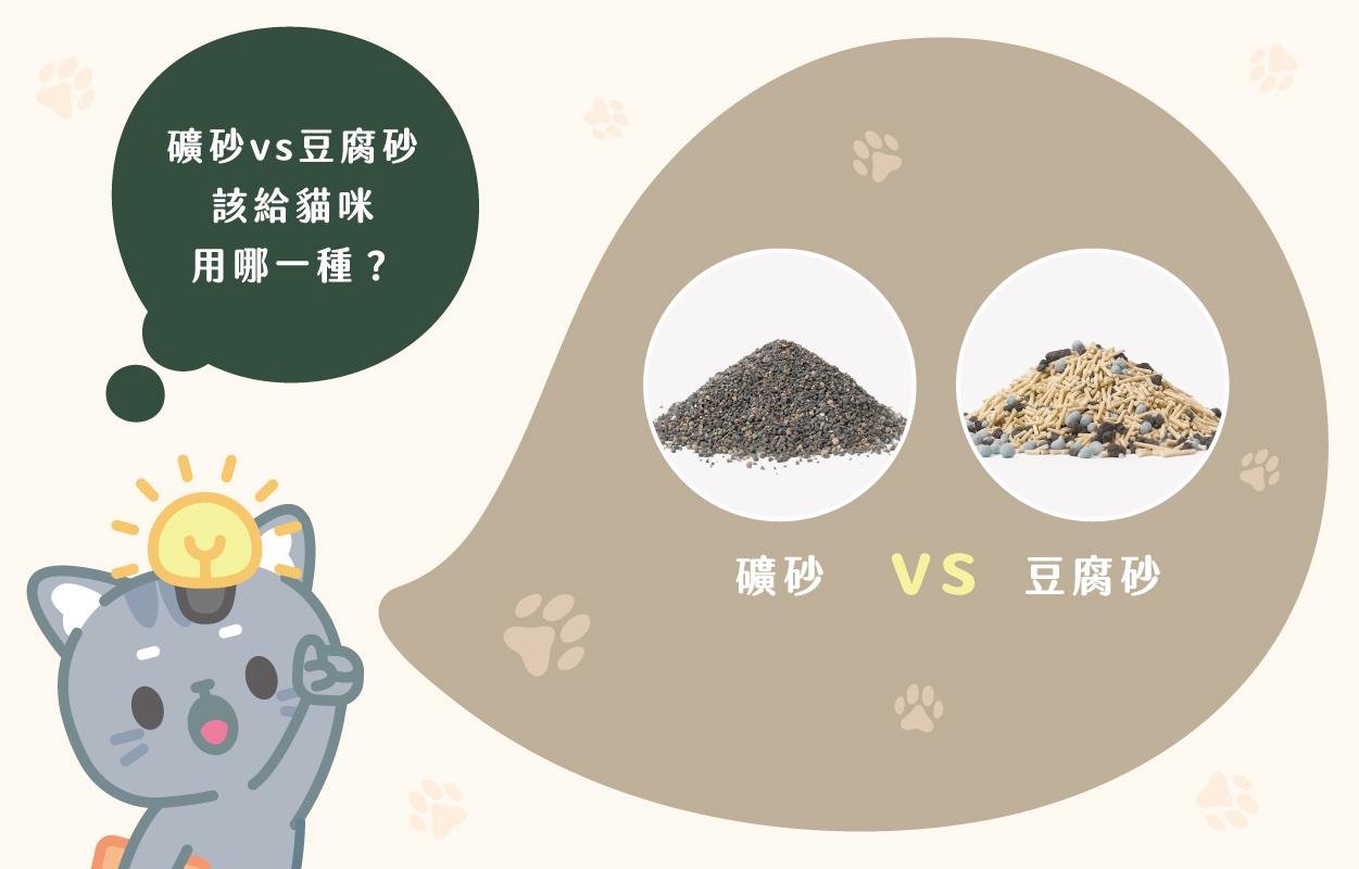 礦砂2024推薦指南!哪種礦砂最適合你家貓咪?|草恩貓砂 3 礦砂vs豆腐砂,該給貓咪用哪一種?