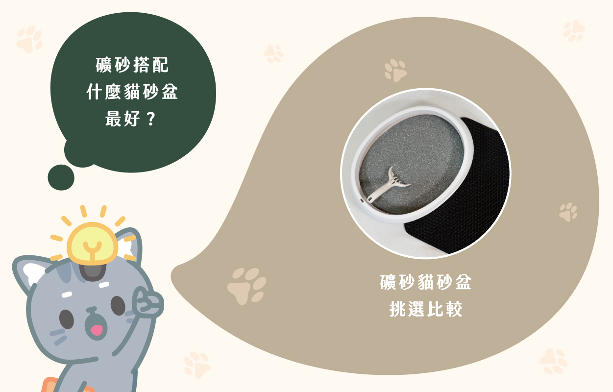 礦砂2024推薦指南!哪種礦砂最適合你家貓咪?|草恩貓砂 5 礦砂搭配什麼貓砂盆最好?礦砂貓砂盆挑選比較