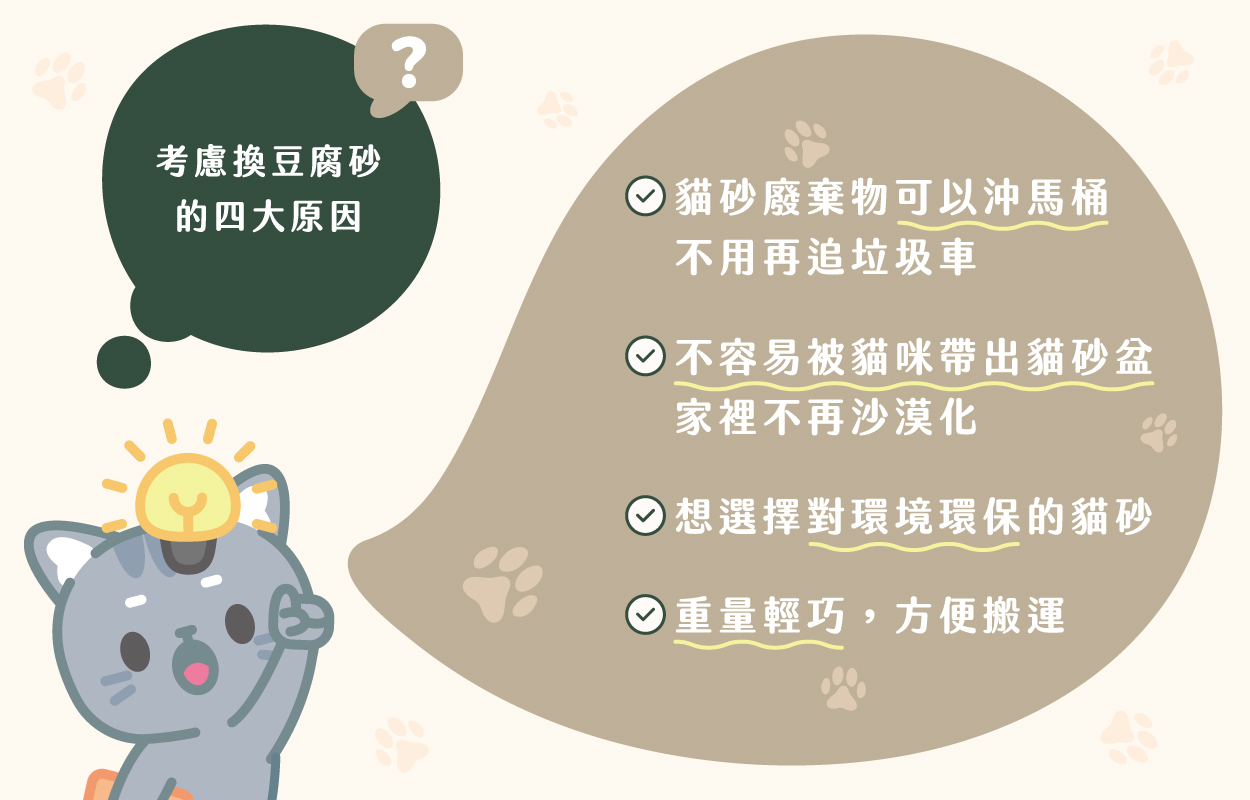 豆腐砂好用嗎？該幫貓咪換豆腐砂嗎？