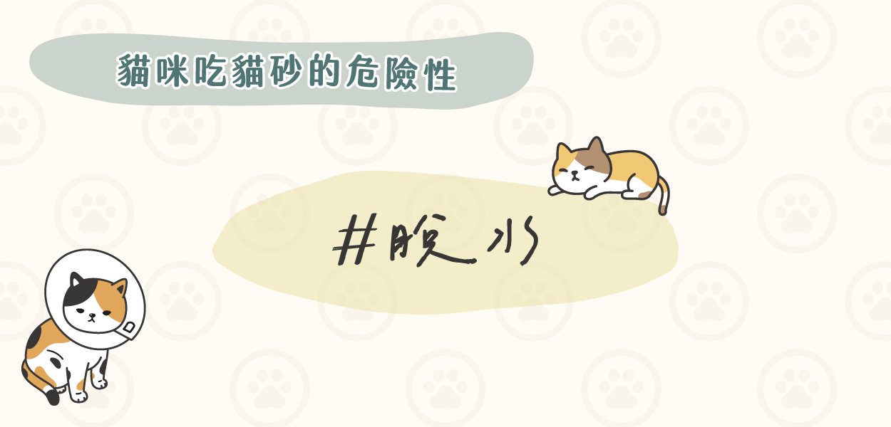 貓吃貓砂怎麼辦?換豆腐砂或礦砂能阻止貓吃貓砂嗎? 5 240205 貓吃貓砂怎麼辦 v1 11