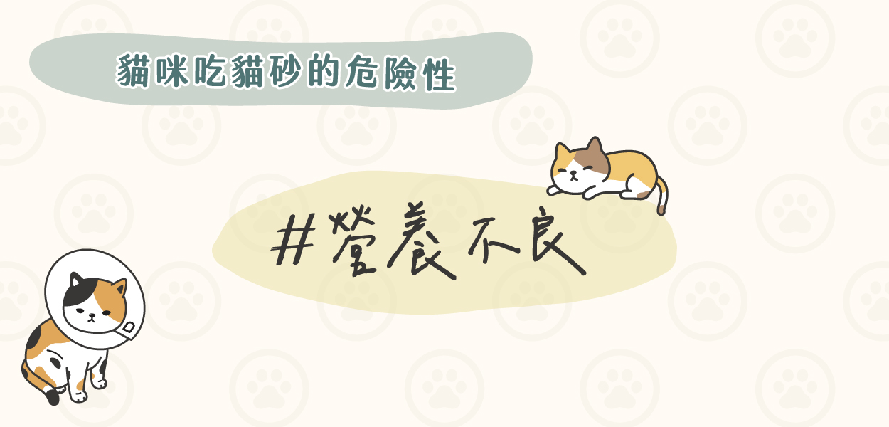 貓吃貓砂怎麼辦?換豆腐砂或礦砂能阻止貓吃貓砂嗎? 6 240205 貓吃貓砂怎麼辦 v1 12