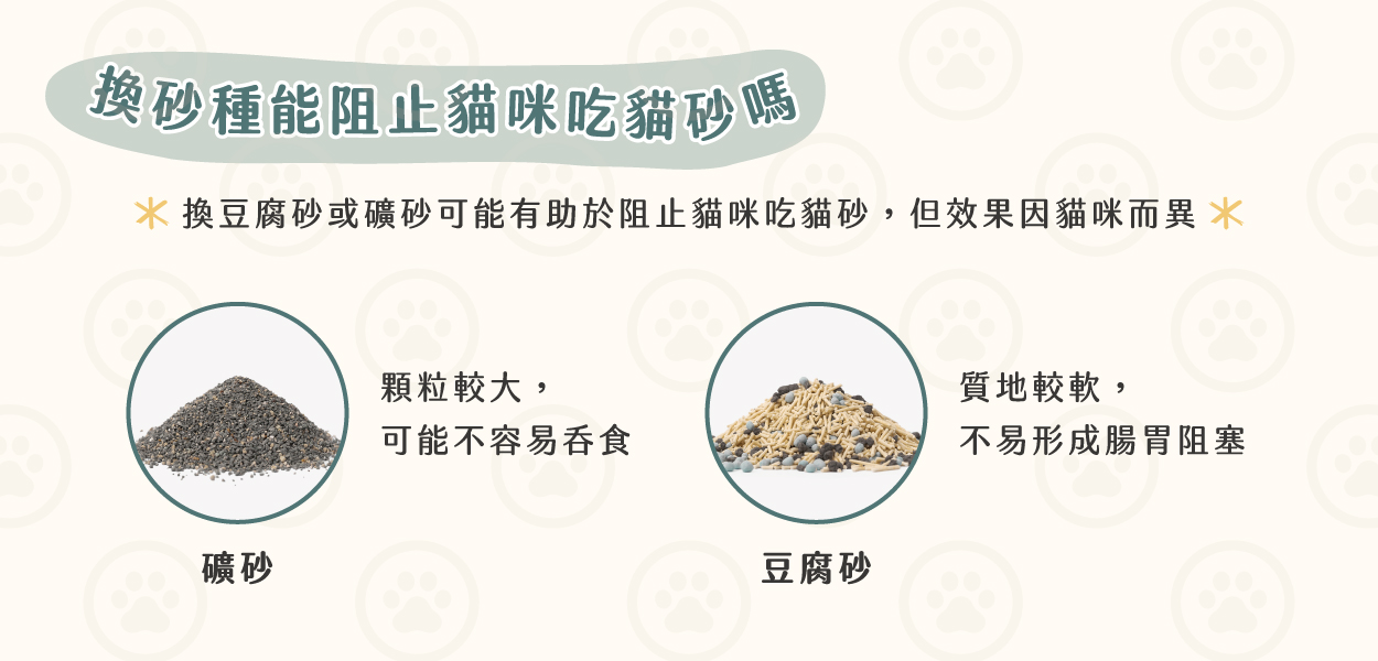 240205 貓吃貓砂怎麼辦 v1 16