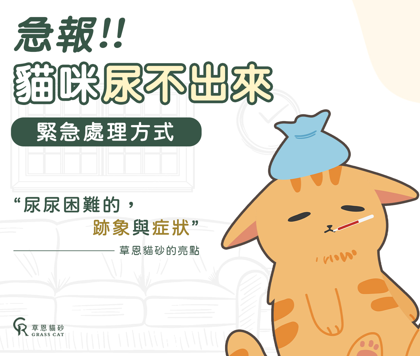 急報!貓咪尿不出來緊急處理,貓尿尿困難的跡象與症狀 | 草恩貓砂三大亮點報給你聽。 1 image1 1