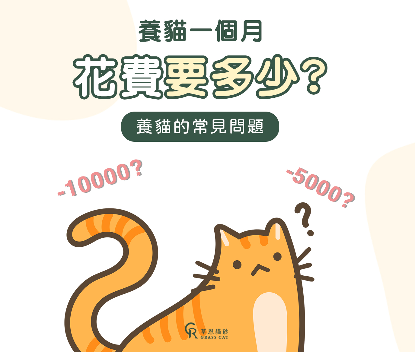 養貓一個月花費是多少?初學者第一次抓預算就上手!養貓須知常見問題。 1 image3 1