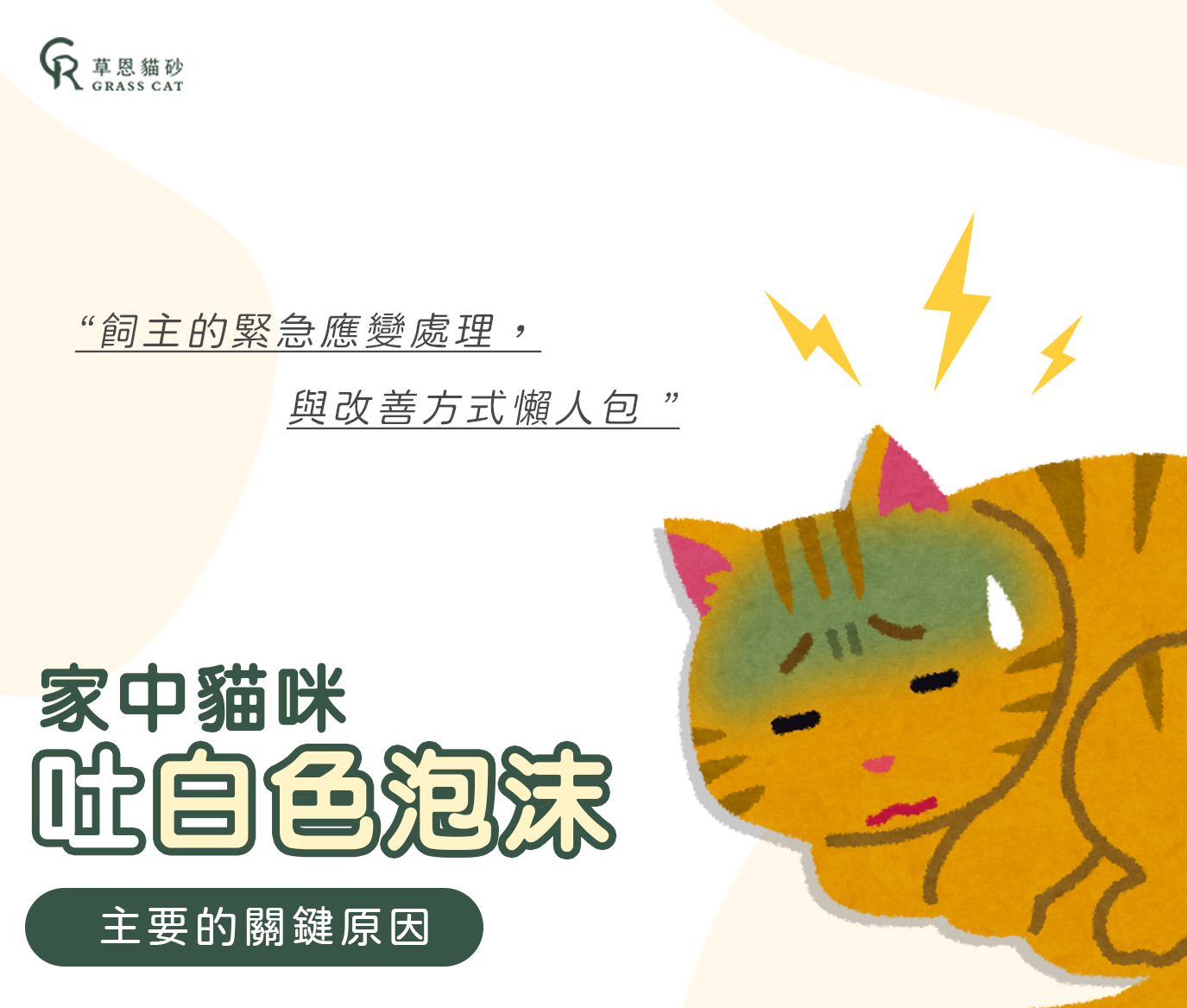 貓咪吐白色泡沫的原因!飼主的緊急應變處理與改善方式懶人包。 1 image3