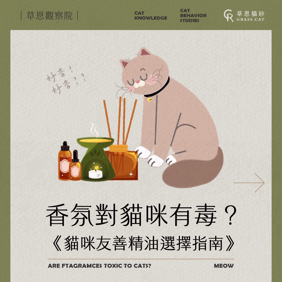 香氛對貓咪有毒? 奴才必知《貓咪友善精油選擇指南》