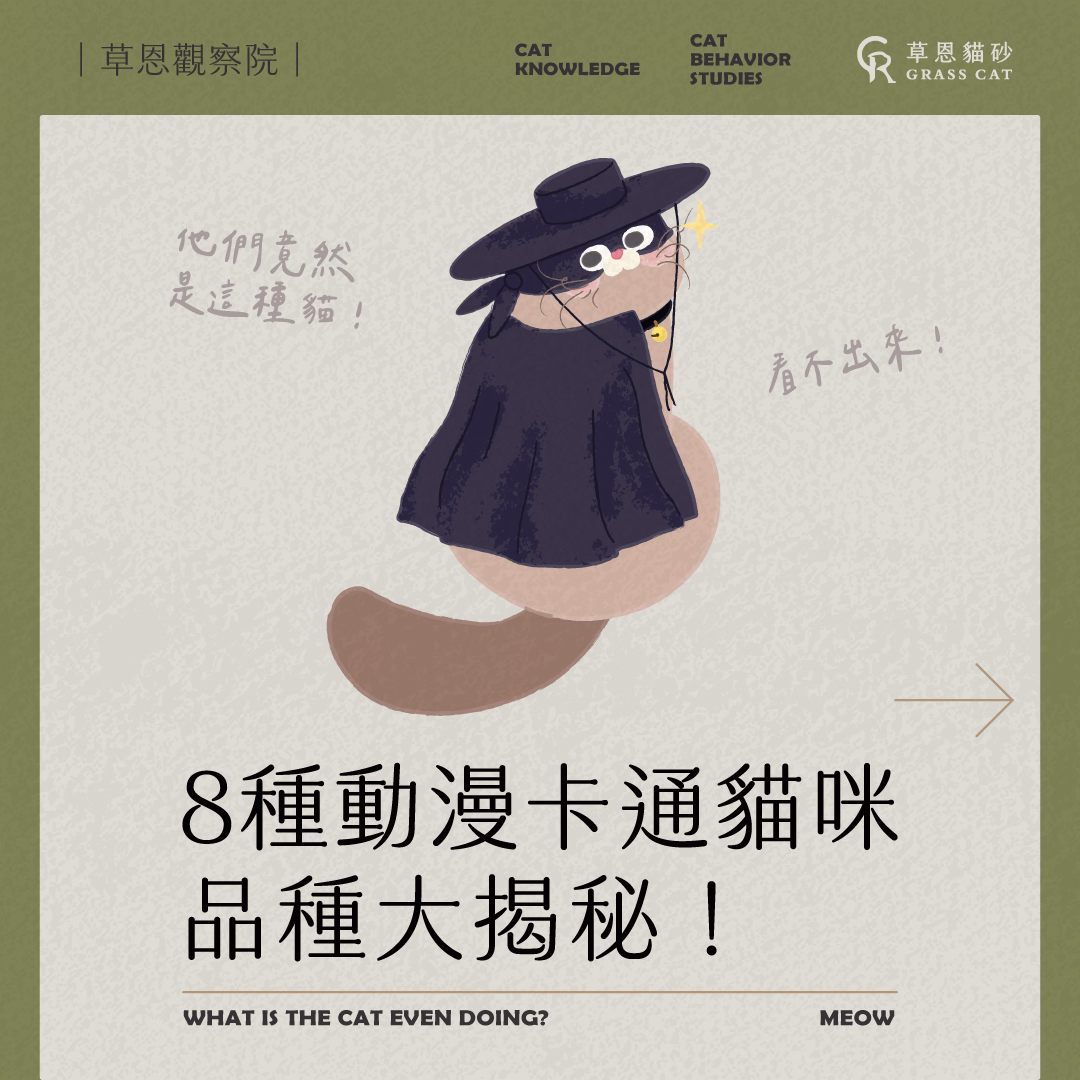 8種動漫卡通貓咪品種大揭秘：你熟悉的「動漫喵星人」到底是哪種貓？