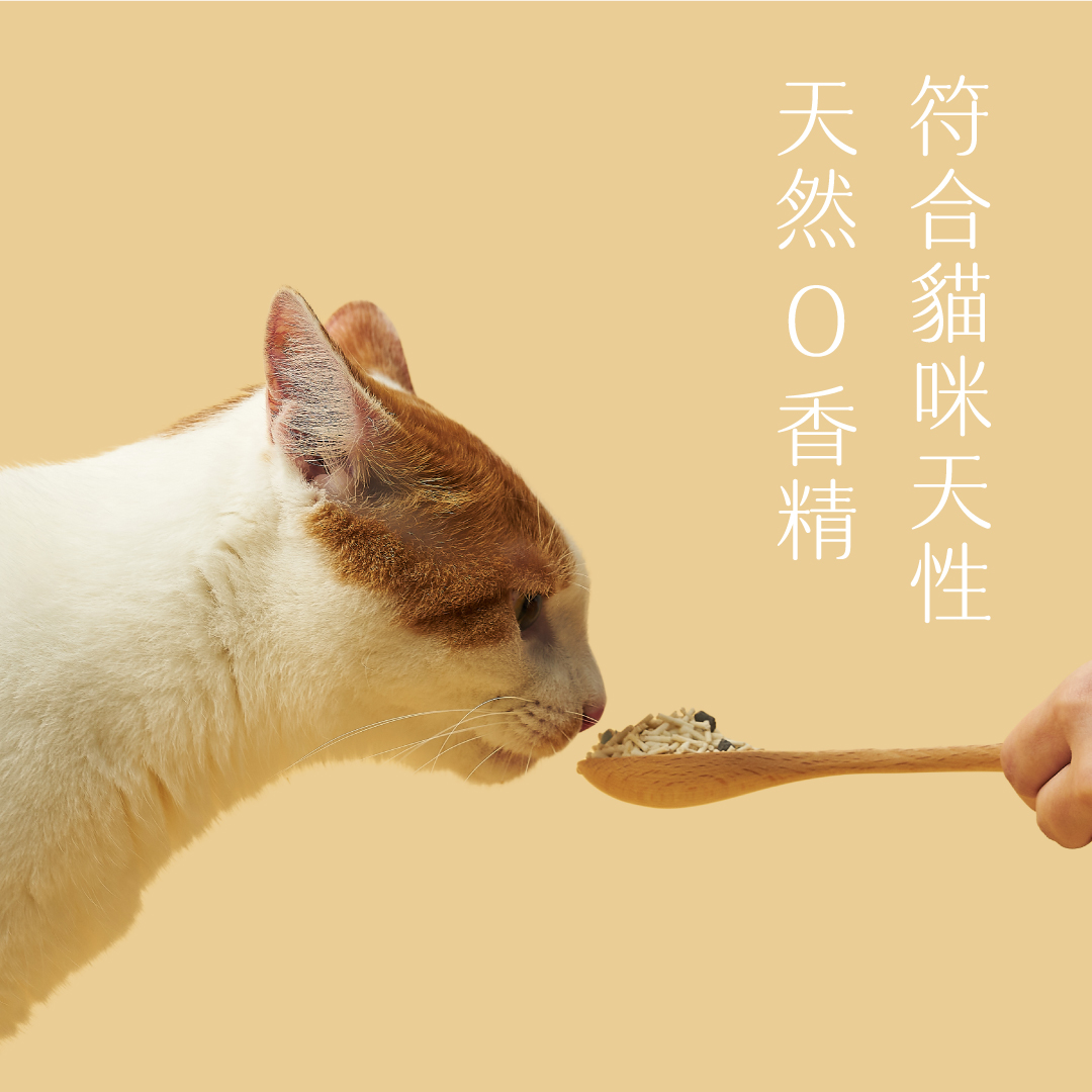 極淨味天然豆腐砂1入 8 極淨味天然豆腐砂1入:圖片 8