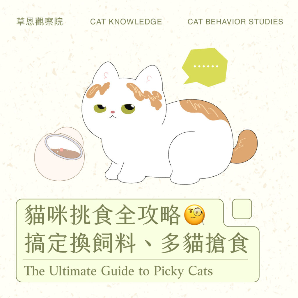 20250625 貓咪挑食全攻略 官網縮圖