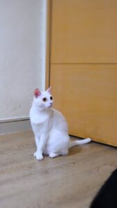 Home 27 LINE ALBUM UU 250606 2