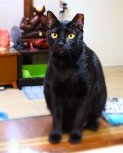 Home 30 LINE ALBUM 毛毛 250606 1