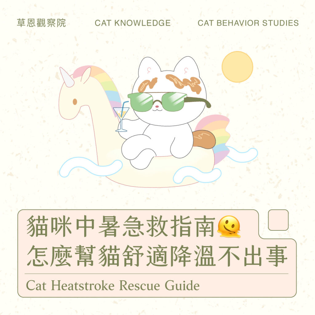20250703 貓咪中暑急救指南 官網縮圖