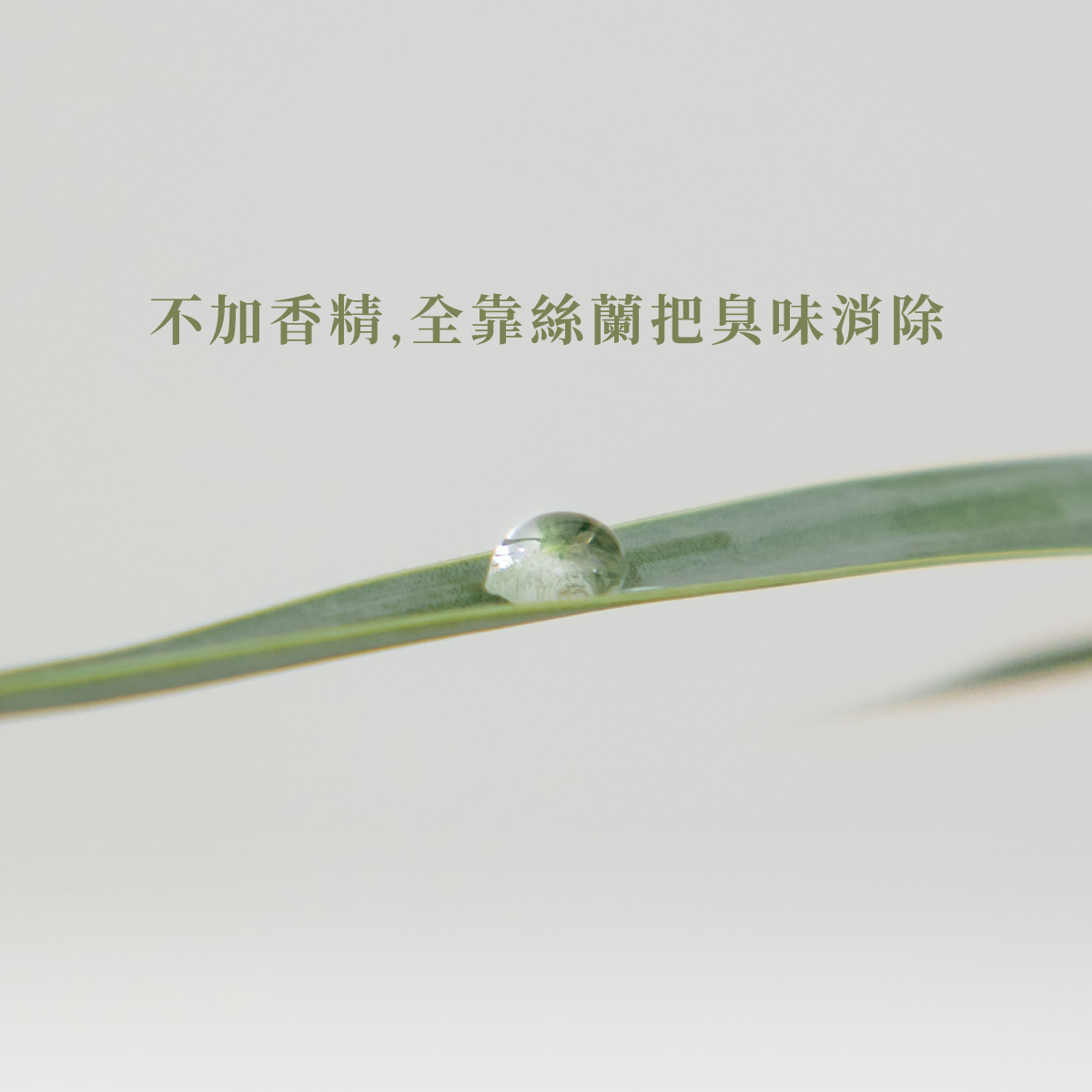 Mood沐薯砂1入組 4 Mood沐薯砂1入組:圖片 5