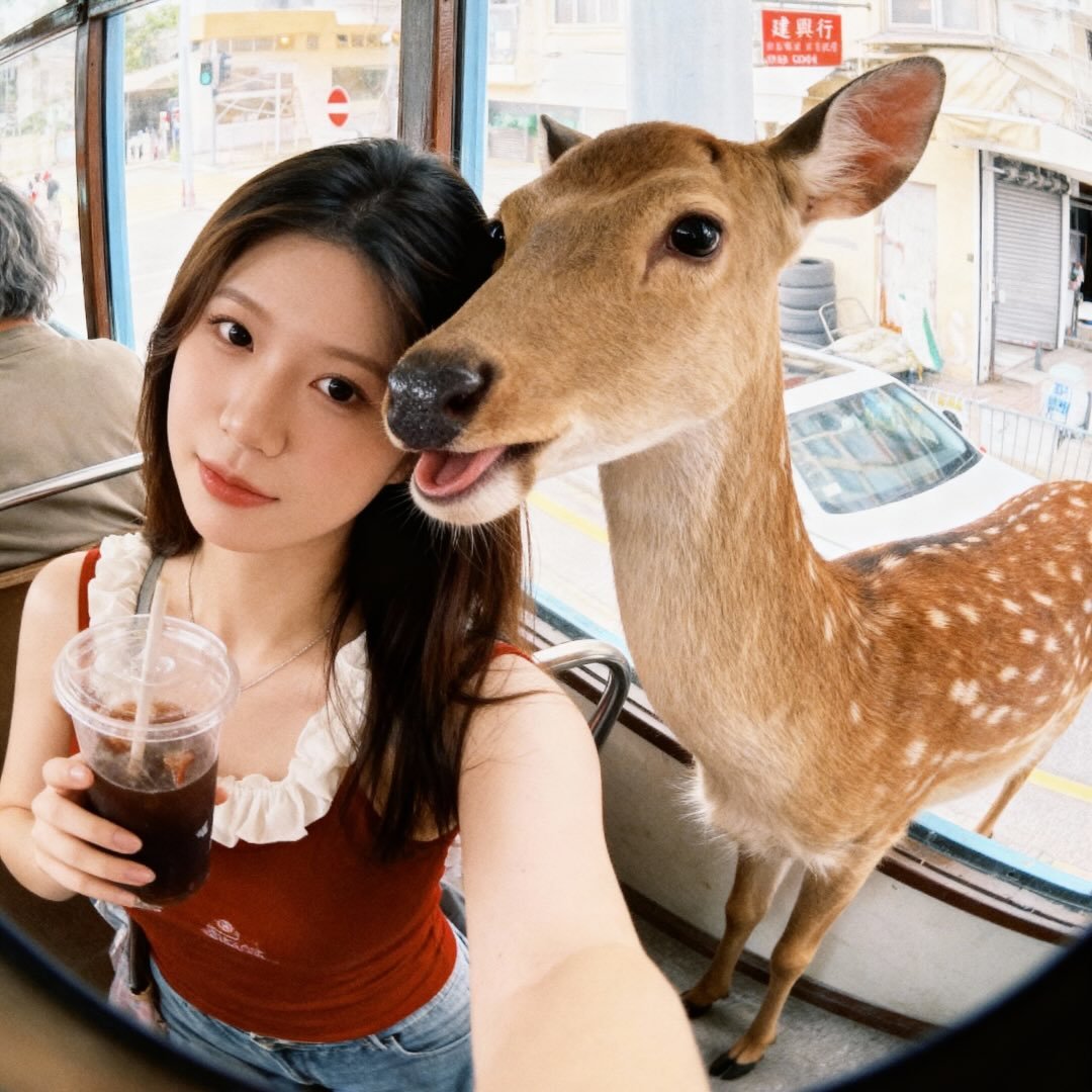 朝朝Chao ⸜🌷⸝☁️˖ ࣪⊹